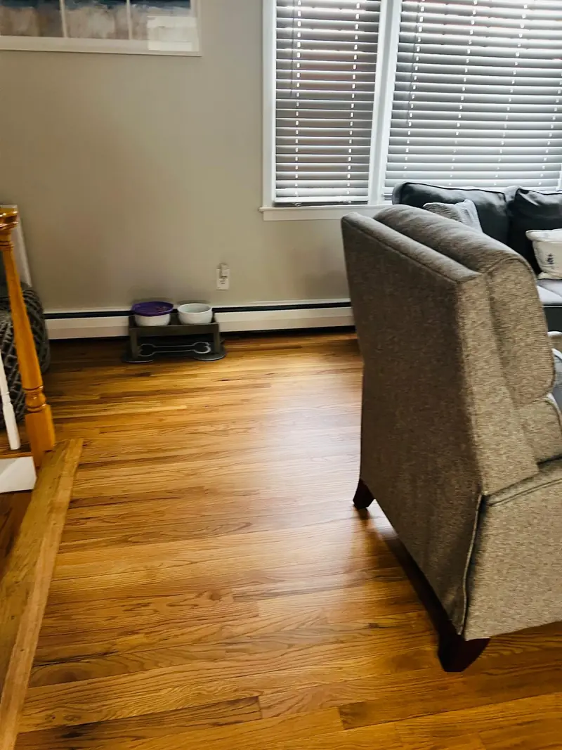 Hardwood floor with a warm stain color next to living room furniture